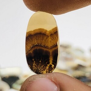 Natürlicher Achat !!! Dendritenachat Birne Cabochon, Lose Edelstein, Dendritenachat 10x17 Größe für die Herstellung von Schmuck Pendent