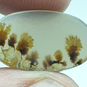 Riesige Größe !!! Dendritenachat Oval Cabochon, Lose Edelstein, Dendritenachat für die Herstellung von Schmuck Pendent Größe 20X11 MM