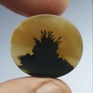 Riesige Größe !!! Dendritenachat Cabochon, Lose Edelstein, Dendritenachat für die Herstellung von Schmuck Pendent Größe 25 x 22 MM