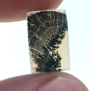 100% Natürlich Landschaftlich Achat !!! Baumachat, Dendritenquarz, Dendritenachat, Malerischer Achat-Edelstein, Dendritenachatstein, Größe 16 x 10 MM