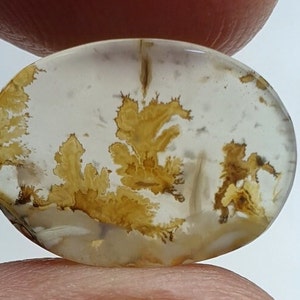 Fantastisch ontwerp dendritische agaat cabochon, losse edelsteen, dendritische agaat voor het maken van hangende sieraden