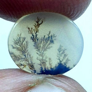 Erstaunlicher Achat !!! Dendritischer Achat Oval Cabochon, Loser Edelstein, Dendritischer Achat für die Herstellung von Schmuck Anhänger Größe 10X11 mm