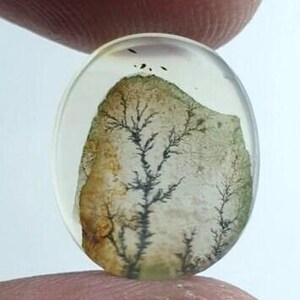 Wunderschöner Designer Dendriten Achat !!! NATÜRLICHER Dendritischer Achat Cabochon, loser Edelstein, 13 x 16 mm Dendritischer Achat zur Herstellung von Schmuckanhängern.