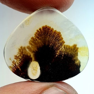 Riesige Größe 27X18 MM !!! Dendritenachat Birne Cabochon, lose Edelstein, dendritischen Achat für die Herstellung von Schmuck Pendent