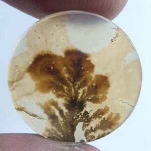 Wunderschöner Designer Dendriten Achat !!! NATÜRLICHER Dendritenachat Cabochon, loser Edelstein, 20 x 20 mm Dendritenachat zur Herstellung von Schmuckanhängern.