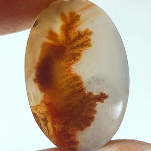 100% Natürlich Landschaftlich Achat !!! Baumachat, Dendritenquarz, Dendritenachat, Malerischer Achat-Edelstein, Dendritenachatstein, Größe 21 x 14 MM
