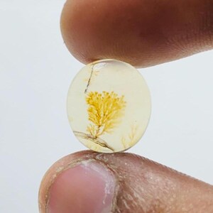 Riesige Größe !!! Dendritenachat Rechteck Cabochon, Lose Edelstein, Dendriten Achat für die Herstellung von Schmuck Pendent Größe 13 x 12 MM
