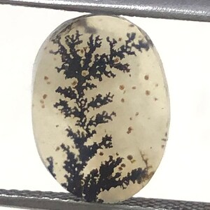 Natürliche dendritische Achat Oval Cabochon, lose Edelstein, dendritische Achat für die Herstellung von Schmuck Pendent.