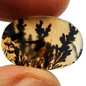 Fantastisch ontwerp dendritische agaat cabochon, losse edelsteen, dendritische agaat voor het maken van hangende sieraden Afmeting: 19 x 13 mm