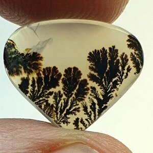 Riesige Größe !!! Dendritenachat Birne Cabochon, Lose Edelstein, Dendritenachat für die Herstellung von Schmuck Pendent Größe 12x15 MM