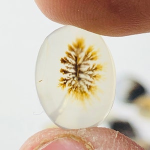 Wunderschöner Designer Dendriten Achat !!! NATÜRLICHER Dendritenachat Cabochon, loser Edelstein, 10x13 mm Dendritenachat für die Herstellung von Schmuck Pendent.