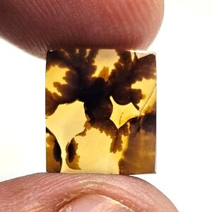 Riesige Größe !!! Dendritenachat Oval Cabochon, Lose Edelstein, Dendritenachat für die Herstellung von Schmuck Pendent Größe 10 x 10 MM