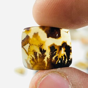 Wunderschöner Designer Dendriten Achat !!! NATÜRLICHER Dendritenachat Cabochon, loser Edelstein, 14X15 MM Dendritenachat für die Herstellung von Schmuck Pendent.