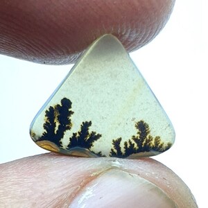 Natürlicher Achat !!! Dendritenachat Birne Cabochon, lose Edelstein, dendritischen Achat für die Herstellung von Schmuck Pendent