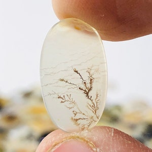 Wunderschöner Designer Dendriten Achat !!!  NATÜRLICHER Dendritischer Achat Cabochon, loser Edelstein, 17 x 10 mm Dendritischer Achat zur Herstellung von Schmuckanhängern.