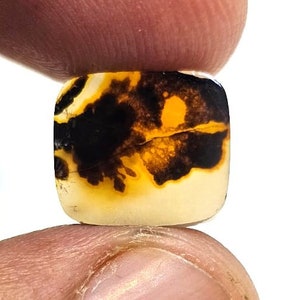 Riesige Größe !!! Dendritenachat Oval Cabochon, Lose Edelstein, Dendritenachat für die Herstellung von Schmuck Pendent Größe 13 x 11 MM