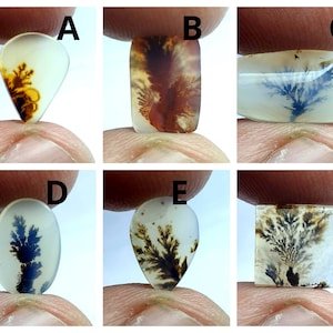 NATÜRLICHER Dendritenachat Cabochon, Größe 20X12 T bis 10X12 ca. Lose Edelstein, Dendriten Achat für die Herstellung von Schmuck Pendent Größe.