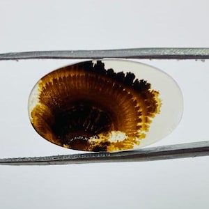 Riesige Größe !!! Dendritenachat Cabochon, Lose Edelstein, Dendritenachat für die Herstellung von Schmuck Pendent Größe 14 x 13 MM