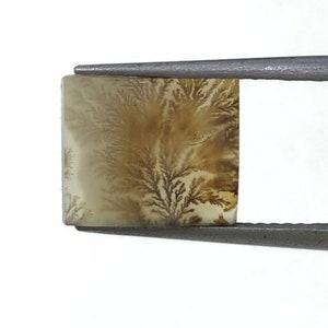 Natürlicher Achat !!! Dendritenachat Birne Cabochon, lose Edelstein, dendritischen Achat für die Herstellung von Schmuck Pendent