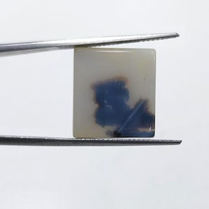 Pietra di design!!! Cabochon di agata dendritica, pietra preziosa sciolta, agata dendritica per realizzare pendenti di gioielli, dimensioni 16 x 15 mm.