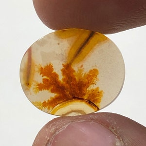 Erstaunlicher Design Achat !!! NATÜRLICHER Dendritischer Achat Oval Cabochon, loser Edelstein, Dendritischer Achat für die Herstellung von Schmuck Pendent.