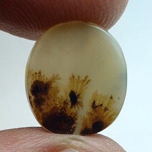 Riesige Größe !!! Dendritenachat Oval Cabochon, Lose Edelstein, Dendritenachat für die Herstellung von Schmuck Pendent Größe 14x12 MM