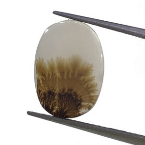 Natürlicher Achat !!! Dendritenachat Cabochon, lose Edelstein, dendritischen Achat für die Herstellung von Schmuck Pendent