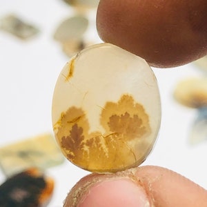 Wunderschöner Designer Dendriten Achat !!!  NATÜRLICHER Dendritischer Achat Cabochon, loser Edelstein, 13 x 15 mm Dendritischer Achat zur Herstellung von Schmuckanhängern.