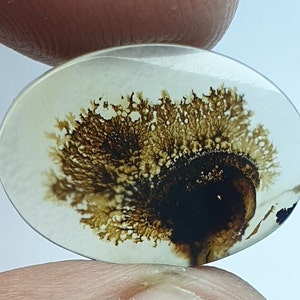 Riesige Größe !!! Dendritenachat Cabochon, lose Edelstein, dendritischen Achat für die Herstellung von Schmuck Pendent Größe 20x15 MM