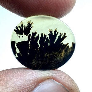 Riesige Größe 27X18 MM !!! Dendritischer Achat Birne Cabochon, Loser Edelstein, Dendritischer Achat für die Herstellung von Schmuck Anhänger
