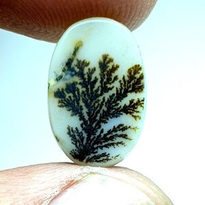 Designer Achat !!! Dendritenachat Birne Rechteck Cabochon, Lose Edelstein, Dendriten Achat für die Herstellung von Schmuck Pendent