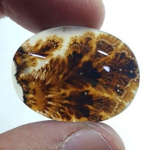 Wunderschöner Designer Dendriten Achat !!! NATÜRLICHER Dendritenachat Cabochon, loser Edelstein, 22 x 29 mm Dendritenachat zur Herstellung von Schmuckanhängern.
