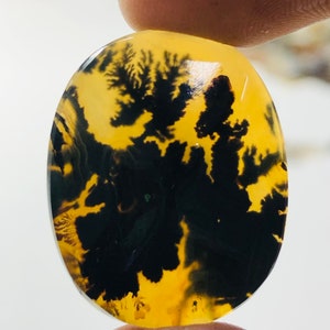 Wunderschöner Designer Dendriten Achat !!! NATÜRLICHER Dendritenachat Cabochon, loser Edelstein, 26x21 mm Dendritenachat für die Herstellung von Schmuck Pendent.