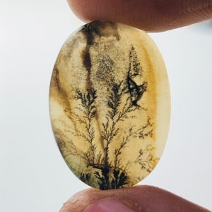 Wunderschöner Designer Dendriten Achat !!!  NATÜRLICHER Dendritischer Achat Cabochon, loser Edelstein, 21 x 15 mm Dendritischer Achat zur Herstellung von Schmuckanhängern.