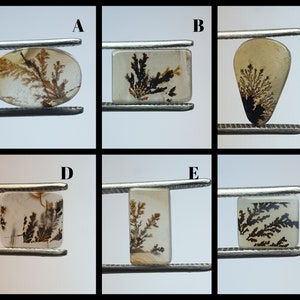 Fantastisch ontwerp dendritische agaat cabochon, losse edelsteen, dendritische agaat voor het maken van hangende sieraden