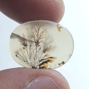 Wunderschöner Designer Dendriten Achat !!! NATÜRLICHER Dendritischer Achat Cabochon, loser Edelstein, 15 x 20 mm Dendritischer Achat zur Herstellung von Schmuckanhängern.