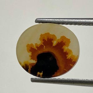 100% Natürlich Landschaftlich Achat !!! Baumachat, Dendritenquarz, Dendritenachat, Malerischer Achat-Edelstein, Dendritenachatstein, Größe 12 x 10 MM