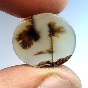 Tolles Design !!! Dendritenachat Oval Cabochon, lose Edelstein, dendritischen Achat für die Herstellung von Schmuck Pendent