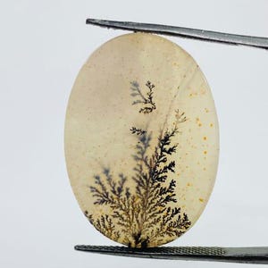 Riesige Größe !!! Dendritenachat Cabochon, Lose Edelstein, Dendritenachat für die Herstellung von Schmuck Pendent Größe 20 x 12 MM