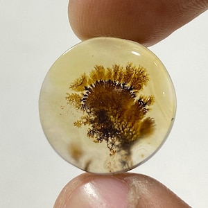 Riesige Größe !!! Dendritenachat Cabochon, lose Edelstein, dendritische Achat für die Herstellung von Schmuck Pendent Größe 18X18 MM