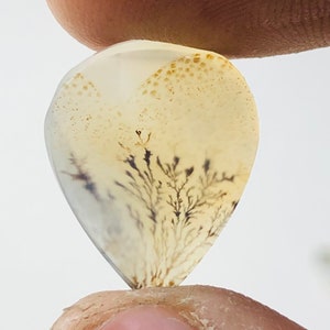 Wunderschöner Designer Dendriten Achat !!! NATÜRLICHER Dendritenachat Cabochon, loser Edelstein, 14X18 mm Dendritenachat für die Herstellung von Schmuckanhängern.