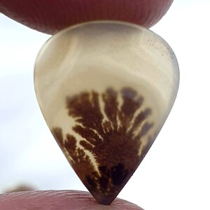 Erstaunlicher Design Achat !!! NATÜRLICHER Dendritischer Achat-Birnen-Cabochon, loser Edelstein, dendritischer Achat für die Herstellung von Schmuckanhängern.