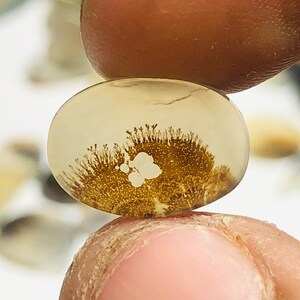 Wunderschöner Designer Dendriten Achat !!!  NATÜRLICHER Dendritenachat Cabochon, loser Edelstein, 9 x 13 MM Dendritenachat für die Herstellung von Schmuck Pendent.