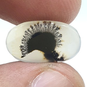 Wunderschöner Designer Dendriten Achat !!! NATÜRLICHER Dendritenachat Cabochon, 16 x 9 mm Kleiner Edelstein, Dendritenachat zur Herstellung von Schmuckanhängern.