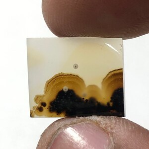 Erstaunlicher Design Achat !!! NATÜRLICHER Dendritischer Achat Oval Cabochon, loser Edelstein, Dendritischer Achat für die Herstellung von Schmuck Pendent.
