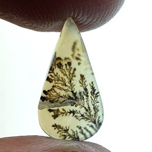 Schön Dendritenachat Birne Cabochon, Lose Edelstein, Dendriten Achat Für die Herstellung von Schmuck Pendent