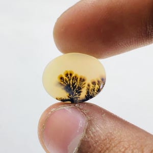 Riesige Größe !!! Dendritenachat-Birne Cabochon, lose Edelstein, dendritische Achat für die Herstellung von Schmuck Pendent Größe 12 x 15 mm