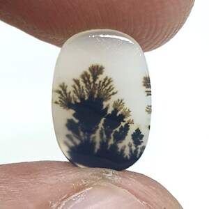 Wunderschöner Designer Dendriten Achat !!! NATÜRLICHER Dendritischer Achat Cabochon, loser Edelstein, Dendritischer Achat für die Herstellung von Schmuck Pendent.