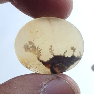 Wunderschöner Designer Dendriten Achat !!!  NATÜRLICHER Dendritischer Achat Cabochon, loser Edelstein, 20 x 25 mm Dendritischer Achat zur Herstellung von Schmuckanhängern.