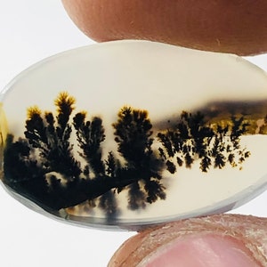 Wunderschöner Designer Dendriten Achat !!!  NATÜRLICHER Dendritenachat Cabochon, loser Edelstein, 19 x 12 mm Dendritenachat zur Herstellung von Schmuckanhängern.